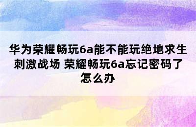 华为荣耀畅玩6a能不能玩绝地求生刺激战场 荣耀畅玩6a忘记密码了怎么办